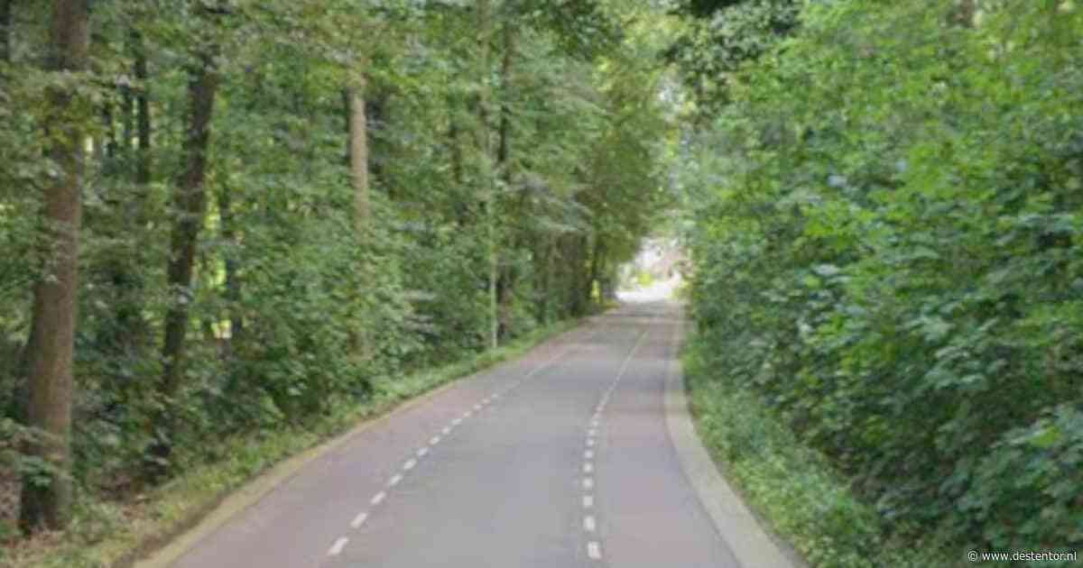 Duo hangt celstraf boven het hoofd na aanvallen van agenten bij Lochem