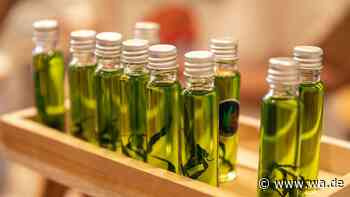 CBD-Öl gegen Stress, Schmerzen und Schlafprobleme: Was ist tatsächlich belegt?