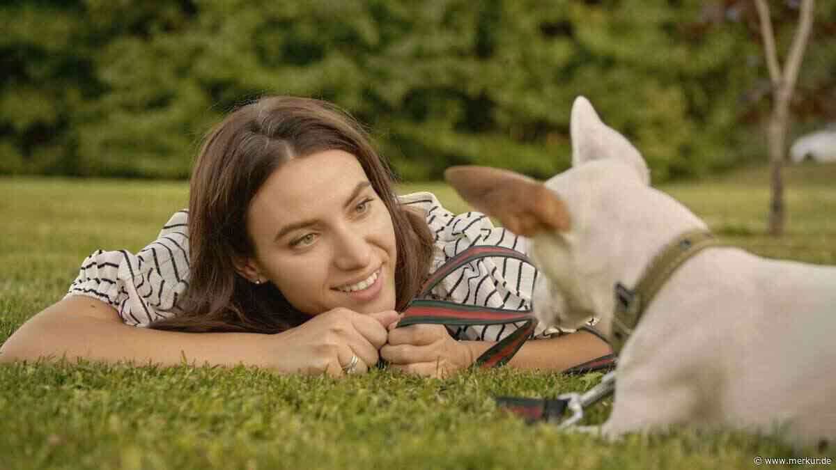 Wenn Menschen Hunde anlächeln – so wirkt es sich auf die Vierbeiner aus