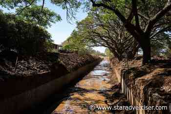 Kokua Line: Will someone help me clean up after storm?