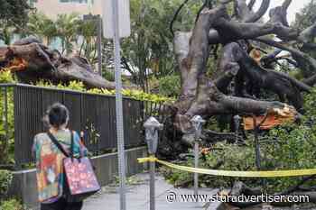 Volcanic Ash: Action, not talk, is needed to mitigate future disasters