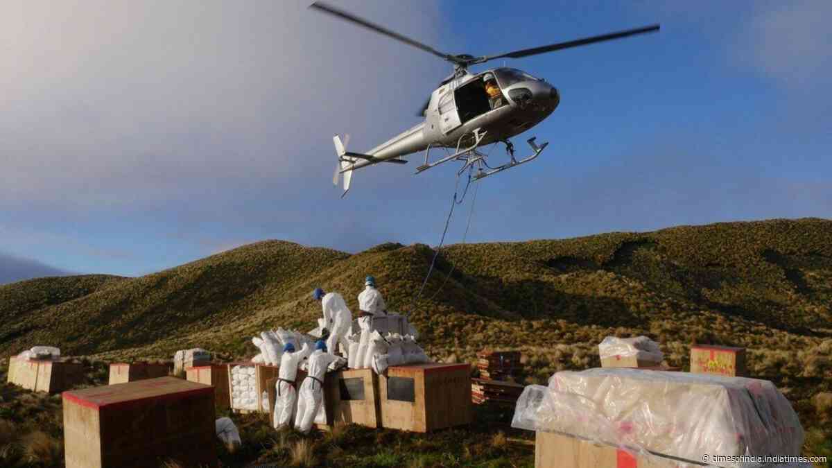 New Zealand removed 200,000 mice from an island; native bird populations more than doubled