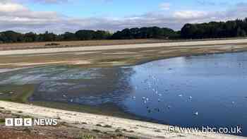 Reservoir 'half full' after hot, dry weather