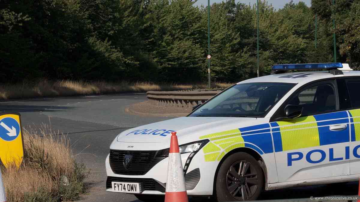 Everything we know about A66 crash which killed seven including two police officers