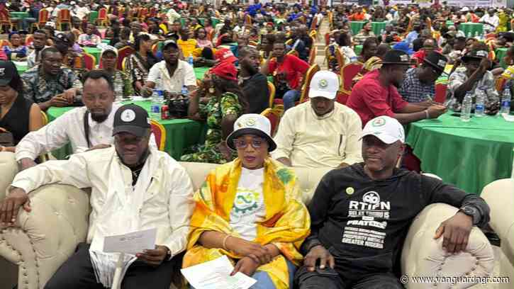 2027: Pro-Tinubu group woos South-East with SEDC, infrastructure projects