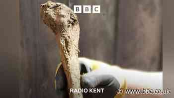 Wye's ancient bones