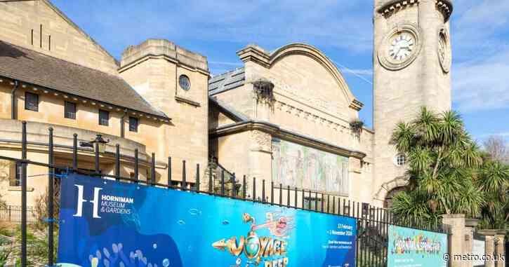 I’ve lived in South London for 3 years — but I’ve just discovered its biggest gem