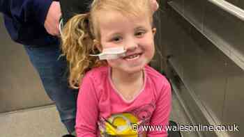 Little girl who suffered life-threatening injuries in horror crash wins Child of Wales award
