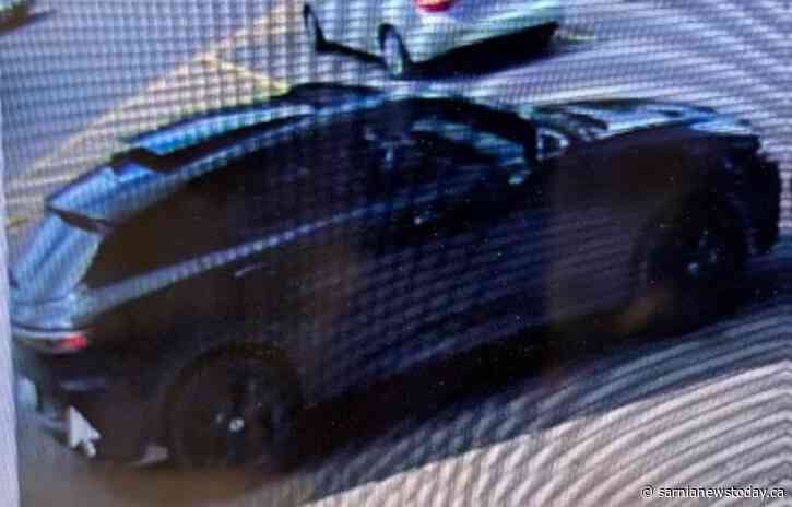 OPP searching for suspects after $500 meat theft in Forest