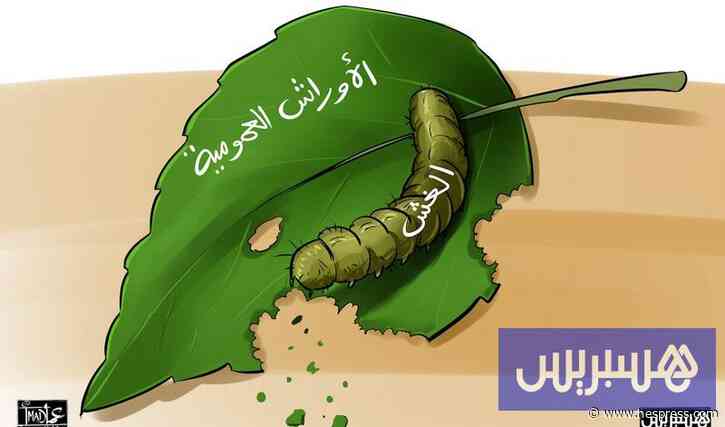 لجان تفتيش مركزية تدقق في طلبيات عمومية بقيمة 620 مليون درهم