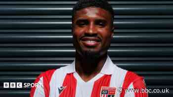 Stoke sign Ipswich's Johnson on loan