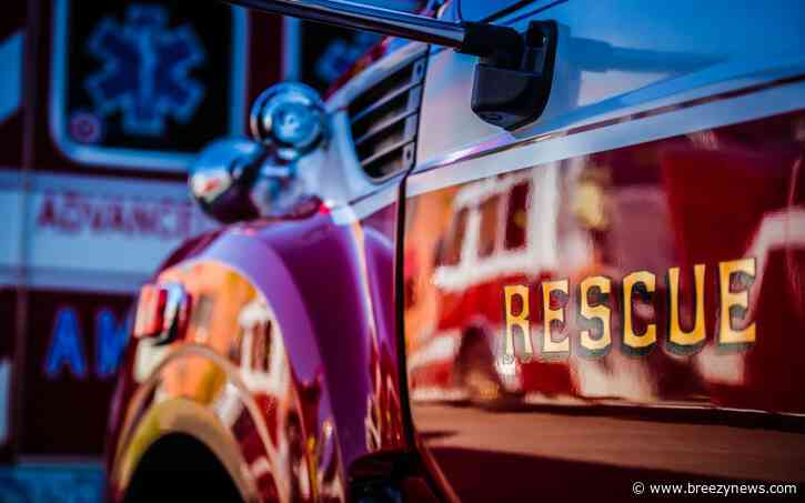 Light Pole Catches Fire, Causes Woods Fire