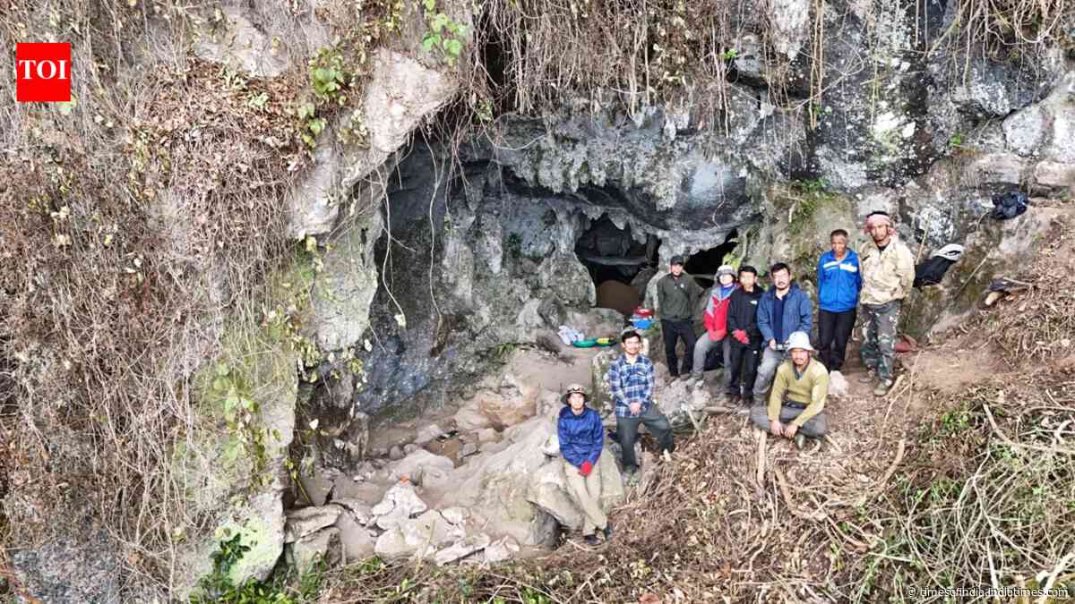 Nagaland discoveries push known human habitation in Northeast India back by around 3,500 years