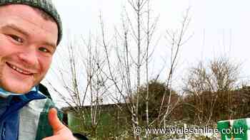 British and Irish Lions star now a beekeeper after major career change