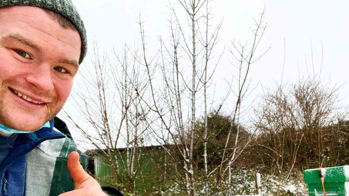 British and Irish Lions star now a beekeeper after major career change