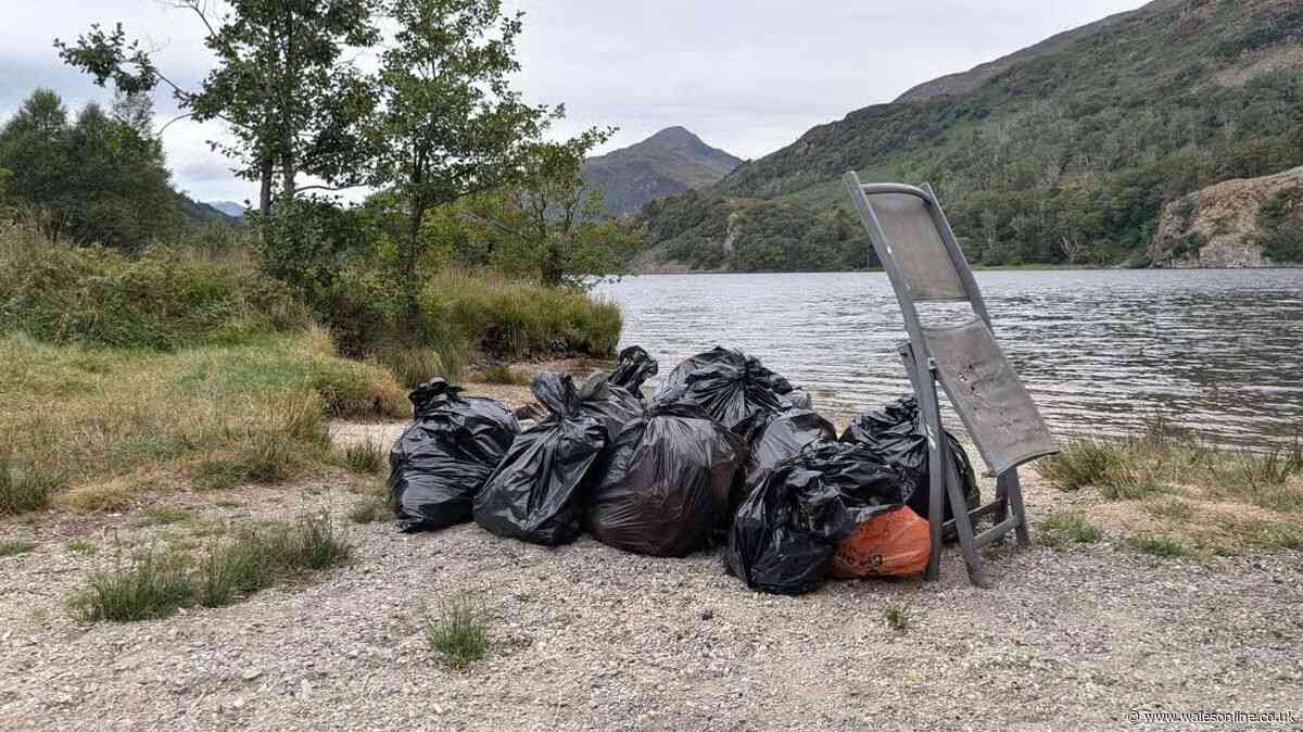 Campsite owner says 'aggressive' campers are damaging Welsh beauty spot
