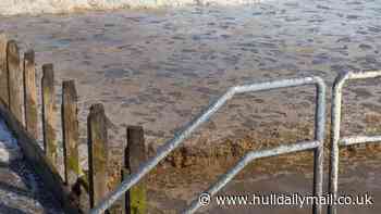 Alarm over suspected sewage at Hornsea beach