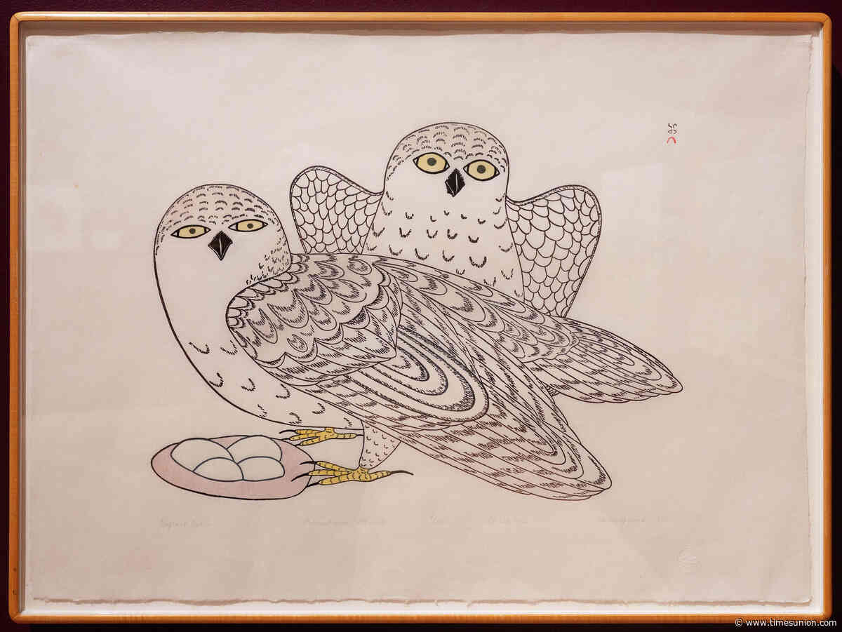 Review: Audubon, O’Keeffe and Warhol soar in Hyde Collection’s bird exhibit