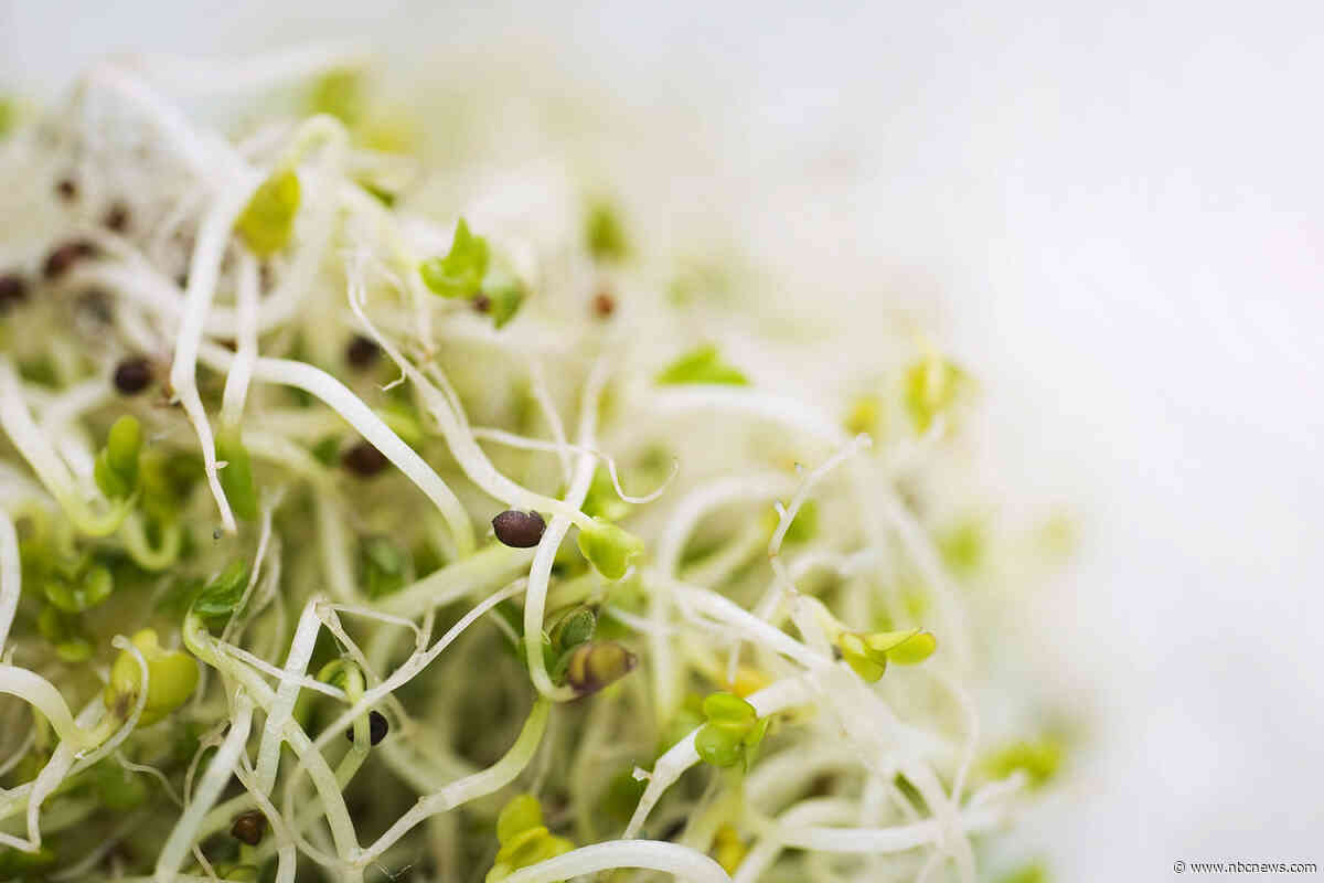 Alfalfa sprouts recalled for E. coli and salmonella after dozens of illnesses in 15 states
