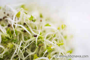 Alfalfa sprouts recalled for E. coli and salmonella after dozens of illnesses in 15 states