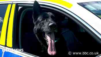 Locations sought to train and develop police dogs