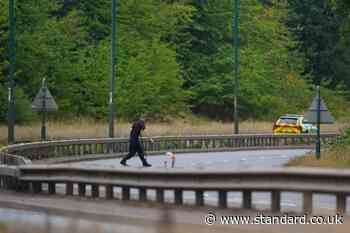 Police had aborted pursuit of car seconds before fatal crash that killed seven