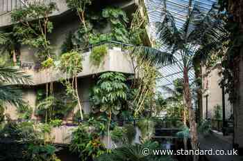 Barbican to give away 2,000 free cuttings - here's how to get one