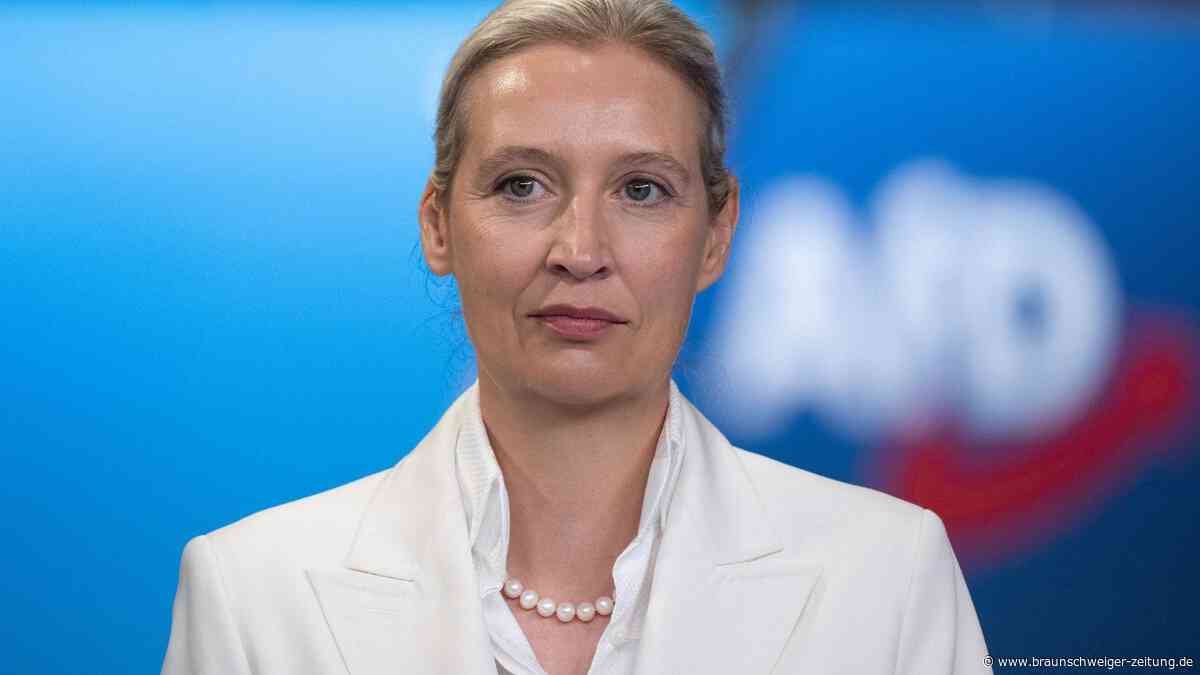Alice Weidel bezeichnet die Regierung im ZDF als „Flachzangen“