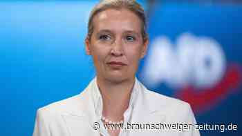 Alice Weidel bezeichnet die Regierung im ZDF als „Flachzangen“