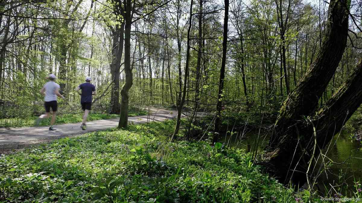 60 Jahre alte Frau im Alstertal getötet – ist sie ein Zufallsopfer?