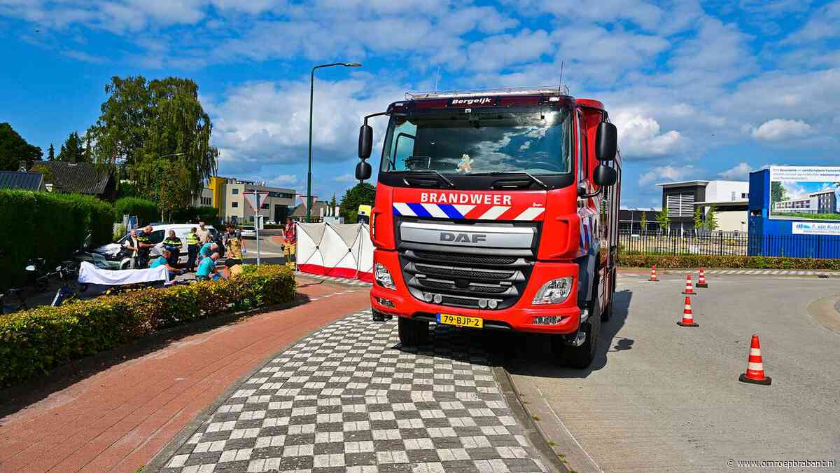 Wielrenner (84) overleden naast fietspad in Bergeijk