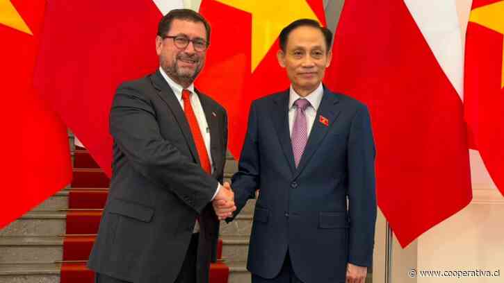 Canciller viajó a Vietnam y se reunió con su homólogo para "avanzar en una alianza más integral"