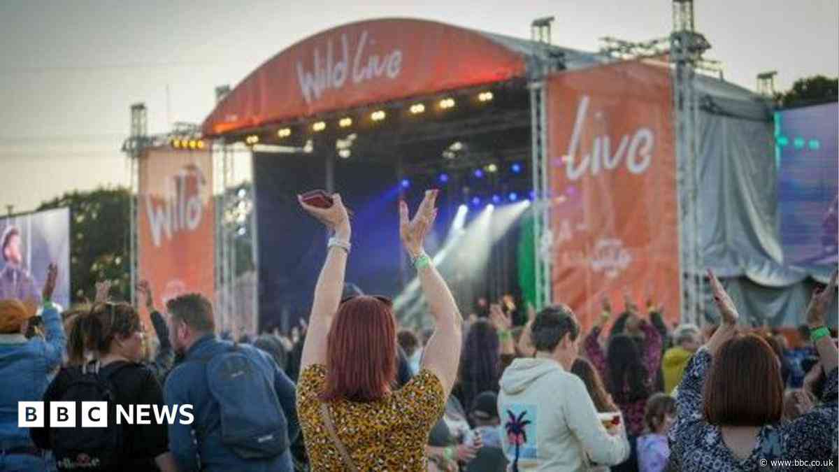 'Rising costs' mean music festival will not return