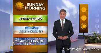 8/23: Sunday Morning