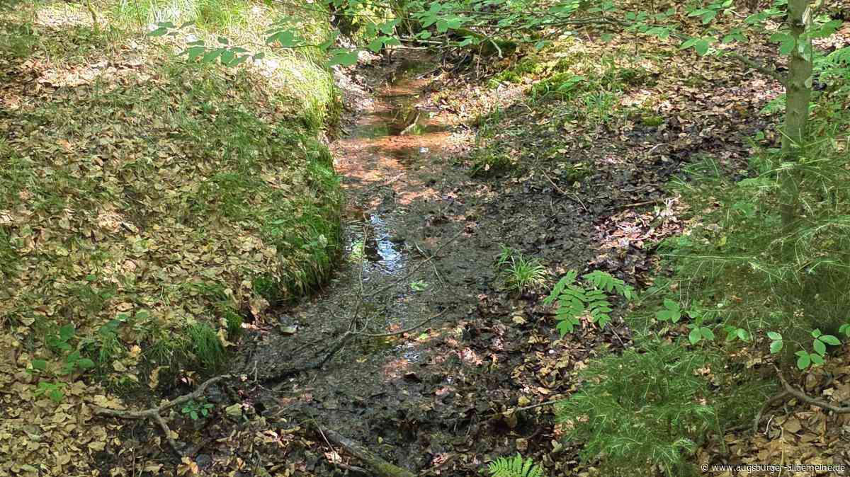 Sommerserie über kleine Flüsse in der Region: Warum die Roth tatsächlich rötlich ist