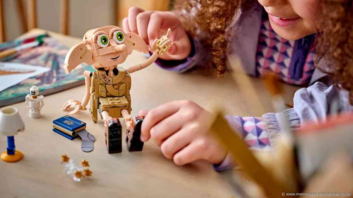 Harry Potter fans race to get 'adorable' £30 Dobby Lego set for £12