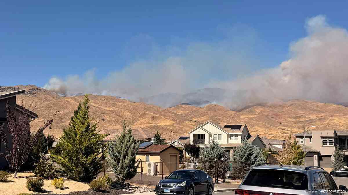 Grote natuurbrand nabij gokstad Reno, deel van stad en ziekenhuis geëvacueerd