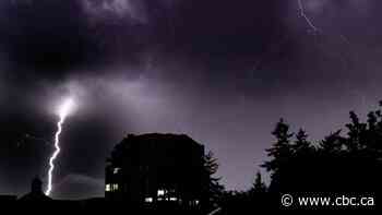 Rare thunderstorm with lightning strikes wows southern B.C., causing havoc at Vancouver airport