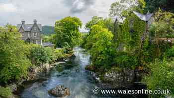The pretty village and forest walk that has been named one of Wales’ best