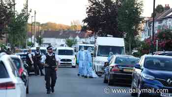 Man is arrested for 'house fire murder' on train to France after woman died and eight others were hurt in London inferno