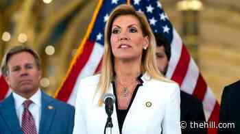 Texas GOP Rep on Talarico: 'His views would kill Texas'