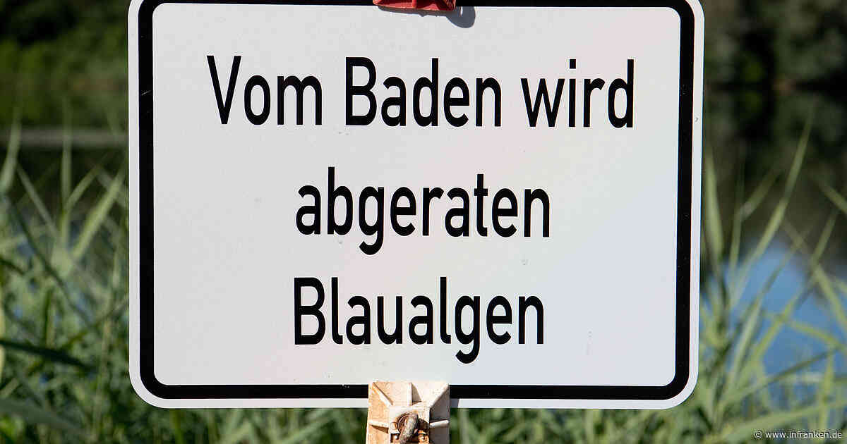 Kreis Kulmbach: Badewarnung nach Fischsterben in Weiher