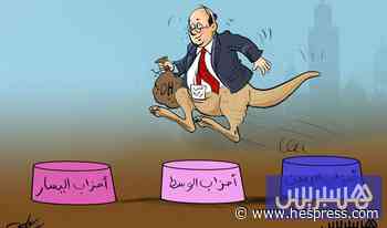 الكنغر الانتخابي