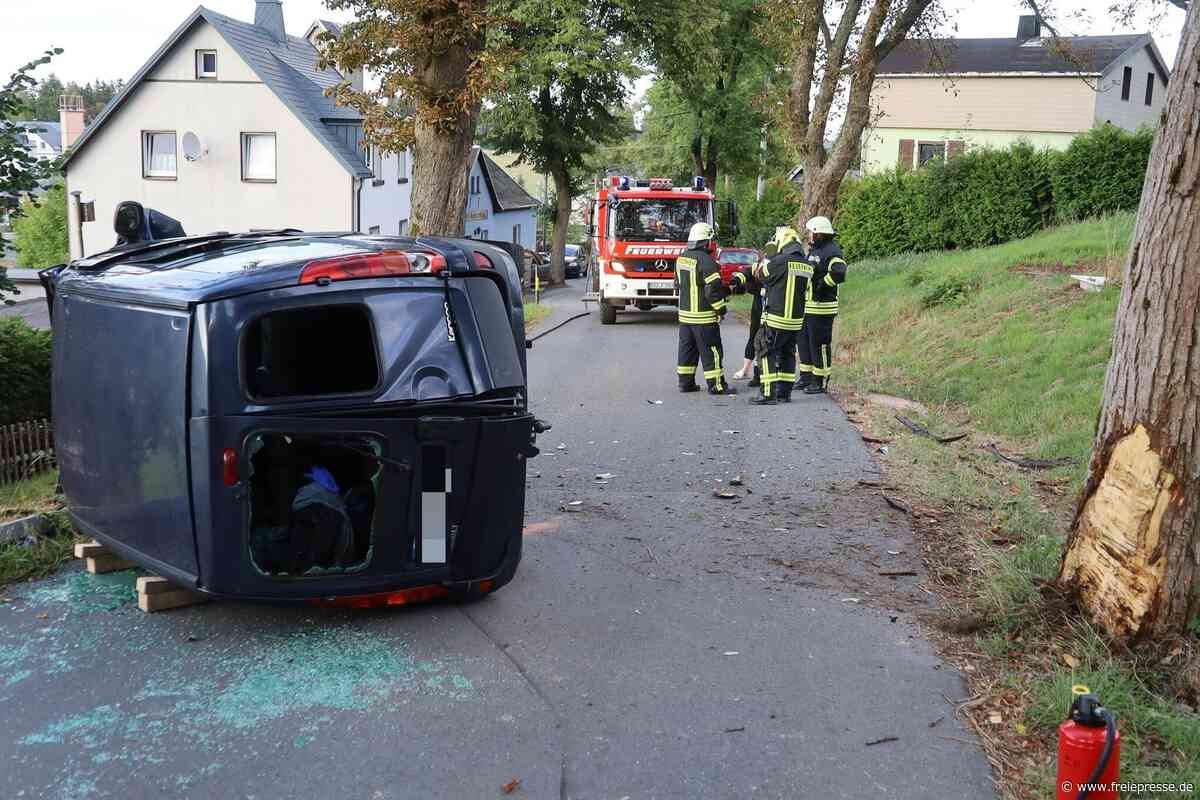 Stützengrün: Renault prallt an Baum – Fahrer flüchtet