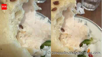 Diner finds live worm in sandwich at very popular Gurugram restaurant; video goes viral