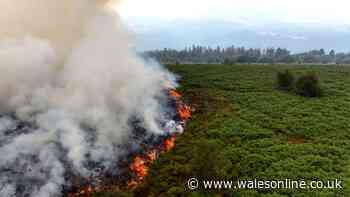 One part of Wales had fourth-highest carbon emissions in the world during wildfires