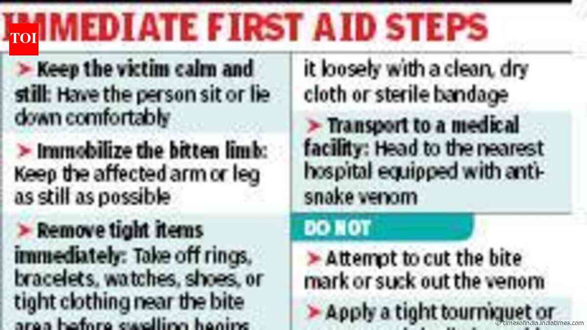 Schools along EM Bypass take fresh guard against snakes