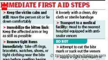 Schools along EM Bypass take fresh guard against snakes