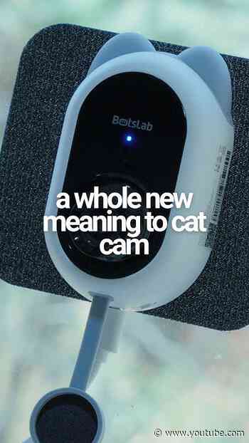 A cat-shaped security camera! 🐱 #botslab #securitycamera #smarthome