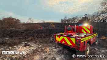 Fire operation ends in New Forest after two weeks